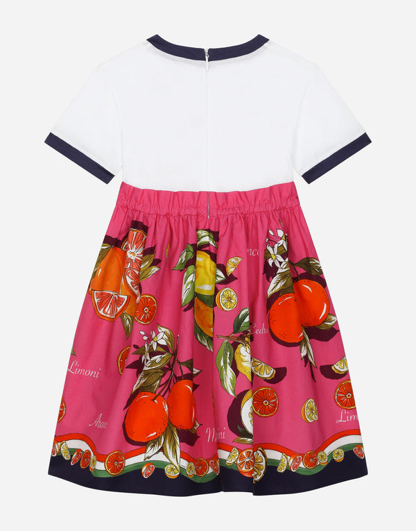 Dolce&Gabbana Citrus-print poplin and jersey dress